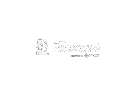 Tecumseh_266c6c9d331186ebbeb3b1e4763f8058