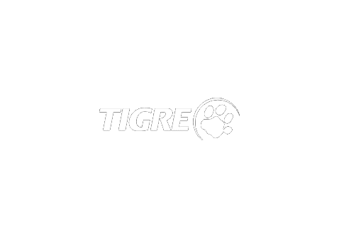 Tigre_13389f41c1c14cd2ddbd6f3ddfca1fcf