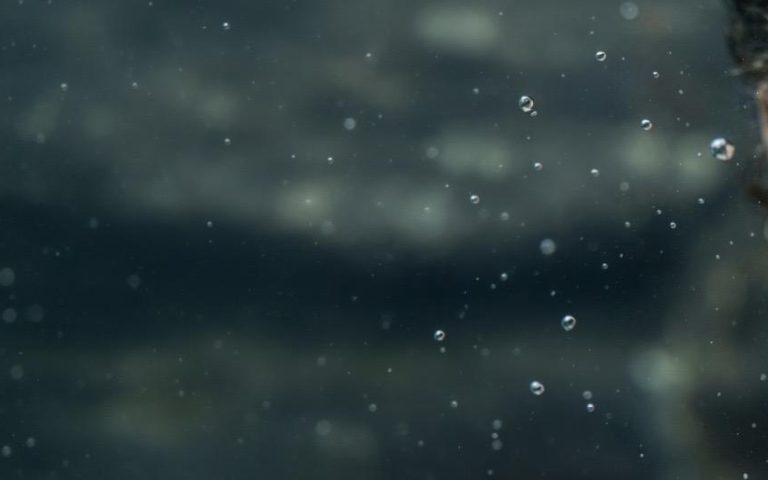 f6447e0a-8294-42c6-98a9-202e23d48084